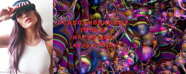 молекула духа Абинск
