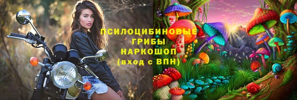 молекула духа Абинск