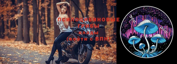 гашик Абаза