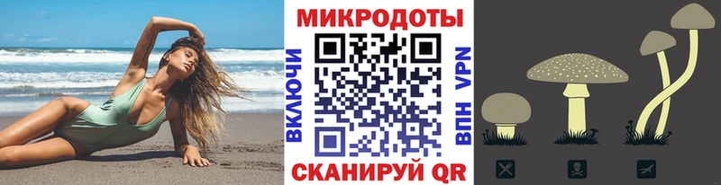 продажа наркотиков  гидра   Псилоцибиновые грибы Psilocybine cubensis  Приморско-Ахтарск 
