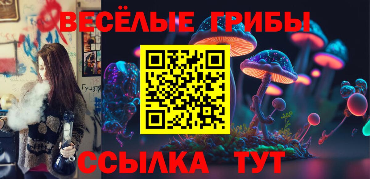 Псилоцибиновые грибы MAGIC MUSHROOMS Приморско-Ахтарск